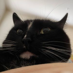 Meet your Posher, Hannah